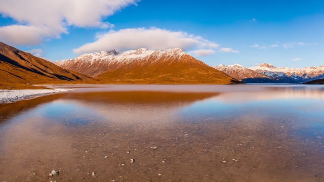 国产成人手机在线视频在线观看